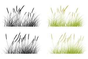 kort gräs, pampas gräs vektor