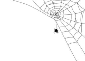 schwarze Spinne und Netz. Gruseliges Spinnennetz von Halloween. Vektor-Illustration vektor