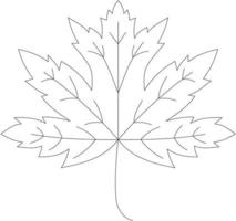 Acer Saccharum Maple Leaf Vektorsymbol schwarz und weiß vektor