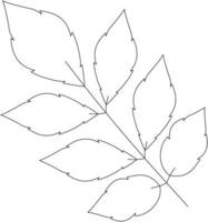 fraxinus excelsior Esche Blatt Vektorsymbol schwarz und weiß vektor