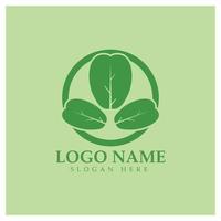 grön moringa blad logotyp, för ört- Ingredienser, moringa jordbruk, hälsa, medicin industri, skönhet, terapi, begrepp design vektor illustration ikon mall med en modern begrepp