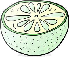 Freihändig gezeichnete Cartoon halbe Melone vektor