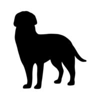 vektor isolerat hund djur- silhuett ikon. enkel svart form. grafisk symbol illustration. abstrakt design element. veterinär klinik logotyp. sällskapsdjur porträtt skugga platt stil.