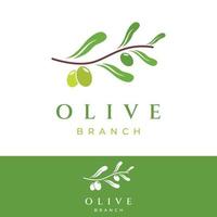 Natürliches pflanzliches Oliven- und Öl-Logo-Design mit Olivenzweig. logo für business, branding, kräutermedizin und spa. vektor