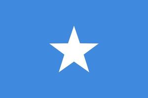 somalia vektor flagga. aterrikan Land nationell symbol