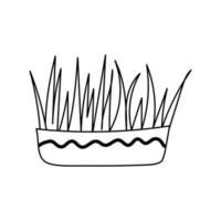ritad för hand illustration av gräs för en katt vektor