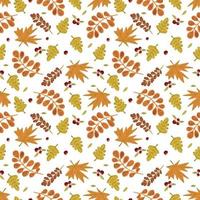 Herbst nahtlose Vektormuster mit Kürbissen und Herbstlaub. handgezeichnete Abbildung. vektor