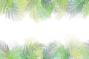 tropischer palmblatthintergrund auf weißem hintergrund vektor