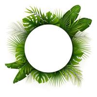 tropische grüne blätter mit weißem rundem rahmenplatz für den text lokalisiert auf weißem hintergrund vektor