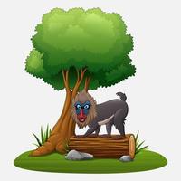 Cartoon Mandrill Pavian unter Baum vektor