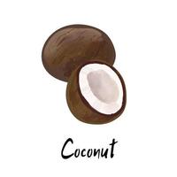 Abbildung einer Kokosnuss isoliert auf weißem Hintergrund vektor