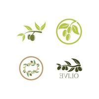 oliv logotyp bilder illustration vektor