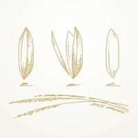 handgezeichnete Reiskörner vektor