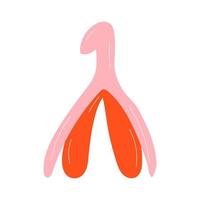 Fortpflanzungssystem der Klitoris. clitoral glans.feminism thema und weibliche genitalorgane. Vektor im Cartoon-Stil.