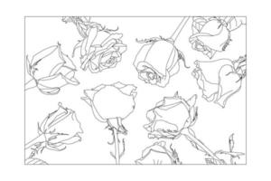 vektor illustration, kdp färg sida, vektor översikt blommor. linje konst färg sida med ro och löv