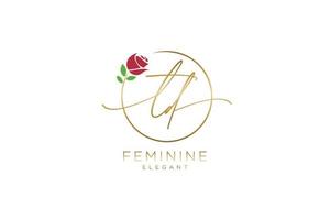 första td feminin logotyp skönhet monogram och elegant logotyp design, handstil logotyp av första signatur, bröllop, mode, blommig och botanisk med kreativ mall. vektor