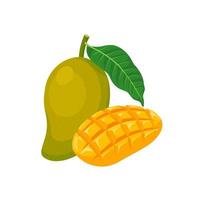 vektor illustration, mogen mango frukt med skivor, isolerat på vit bakgrund