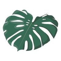 flacher Designaufkleber des grünen monstera Blattes. Symboldarstellung isoliert auf weißem Hintergrund vektor