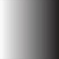 schwarz-weißes lineares Hintergrunddesign vektor