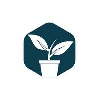 Blumentopf und Pflanzenlogo. Wachstum-Vektor-Logo. vektor