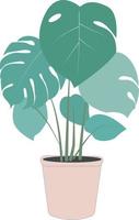 flaches design der botanischen monstera-illustration vektor