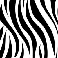 Schwarz-Weiß-Streifenmuster aus Zebrahaut vektor