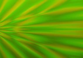 hellgrünes Vektorbokeh und buntes Muster. vektor