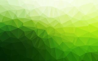hellgrüne Vektordreieck-Mosaikabdeckung. vektor