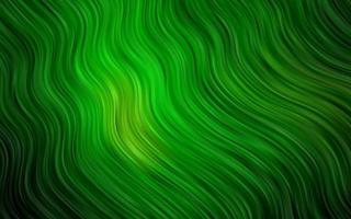 hellgrüner Vektorhintergrund mit gebogenen Linien. vektor