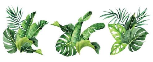 Aquarellzeichnung. Reihe von Blumensträußen, Kompositionen mit tropischen Blättern. Regenwaldblätter, Palme, Monstera, Banane. vektor