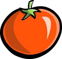tomat frukt illustration vektor