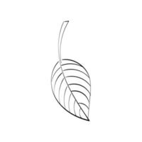 Herbstblattdesign. jahreszeit natur ornament garten dekoration vektor