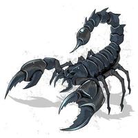 schwarzer Skorpion bereit zu schlagen