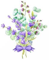 en bukett av grön eukalyptus löv och lila lavendel. vattenfärg illustration hand dragen eukalyptus gren med lavendel- blommor vektor