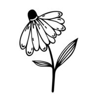 Kamille-Vektor-Symbol. hand gezeichnete weinleseillustration lokalisiert auf weiß. wilde oder Gartengänseblümchenblume. botanisches blumengekritzel, heilpflanze. schwarzer Umriss, Skizze. clipart für schönheit, spa, logo vektor