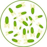 grön bakterie, illustration, vektor på en vit bakgrund.