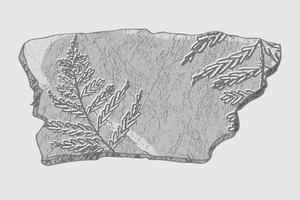 sten med avtryck av skelett av förhistorisk djur, insekter och växter. grå arkeologi, spricka stenar fragment , skräp stenblock. uppsättning av realistisk hand dragen konst. vektor illustration
