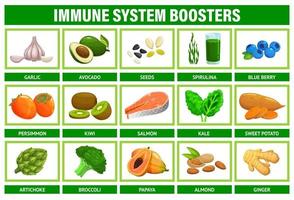 immun systemet boosters, supermat, frukter, grönsaker vektor