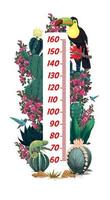 barn höjd Diagram med mexikansk toucan och blommor vektor