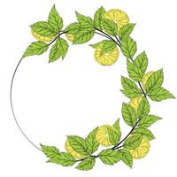 citron- och mynta krans vektor stock illustration. en vinjett blommor. mall för ett inbjudan kort. en cirkel av färsk örter och löv. isolerat på en vit bakgrund.