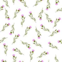 vår vilda blommor. ändlös sömlös mönster. vektor stock illustration. tistel blomma. taggar och ogräs.