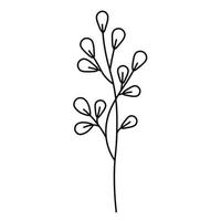ein Zweig, ein Grashalm. Blume. schwarze Tinte Silhouette isoliert auf weißem Hintergrund. handgezeichnete Vektordekorelemente für Ihr Design. vektor