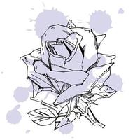 printhandgezeichnete Rose. Vektor-Illustration. Rose im Vintage-Tattoo-Stil. Blumenmotivskizze für Design. Tintenillustration isoliert. vektor