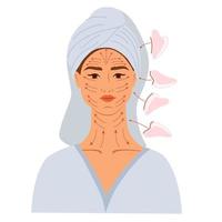 Gesichtsmassage. weibliches gesicht mit linien zur massage mit gua sha schaber. Massage Guasha, Sahne und Vakuumdosen. Gesichtshaut und Jugendpflege. hand gezeichnete vektorillustration vektor