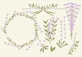 Vektor Aquarell Lavendel