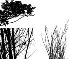 Vektor-Illustration gesetzte Silhouette des trockenen Baums lokalisiert auf weißem Hintergrund vektor