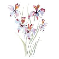 målning av orkidéer med akvarell vektor