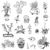 Blumen und Pflanzen im Blumentopf-Doodle vektor