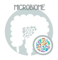 Illustration des menschlichen Mikrobioms mit Darm- und Bakterienvektorbild. Gastroenterologe. Bifidobakterien, Laktobazillen. Milchsäurebakterien. vektor