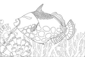 fisk exotisk färg. antistress färg sida. hav varelser. hav fisk. vektor illustration.
